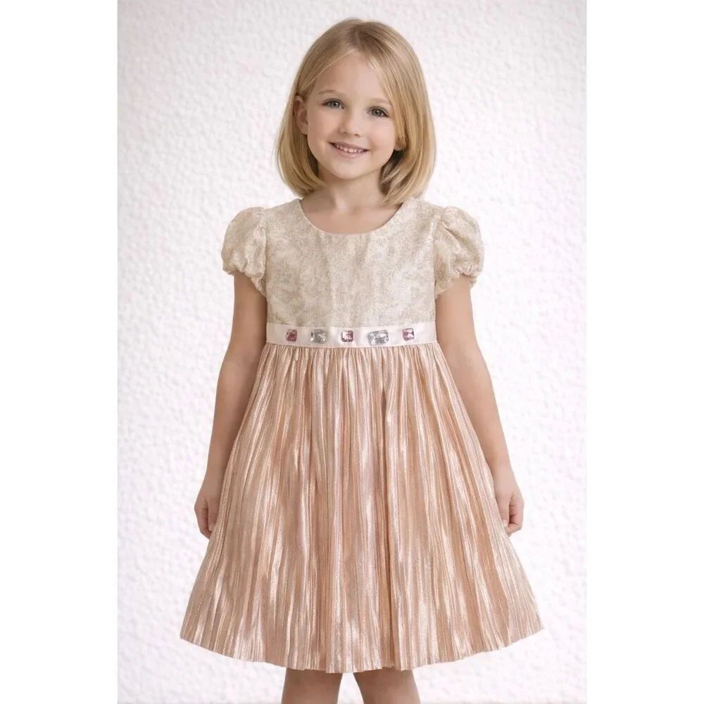 NWT Little Lass Girl's Tutu Dress Size 4T Pink Gold Pleated Party Holiday
